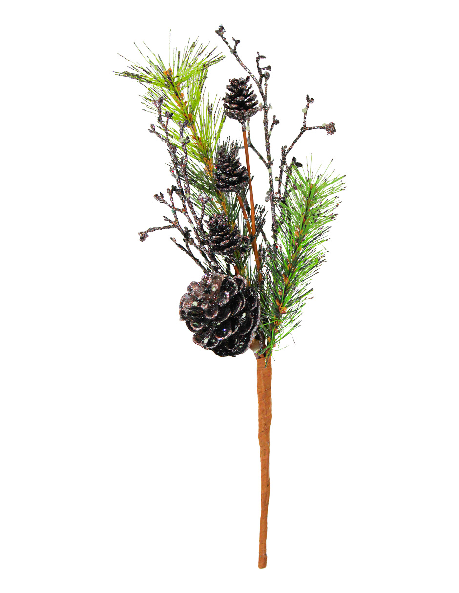 040907904450-galerias el triunfo