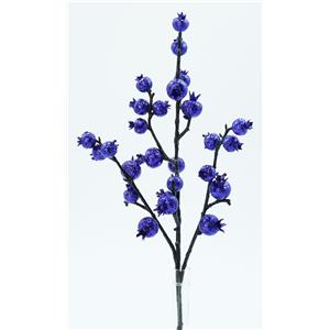 040907904454-galerias el triunfo