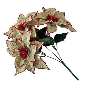 041007918340-galerias el triunfo