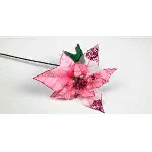 041007918370-galerias el triunfo