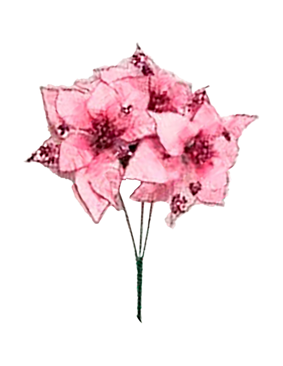 041007918376-galerias el triunfo