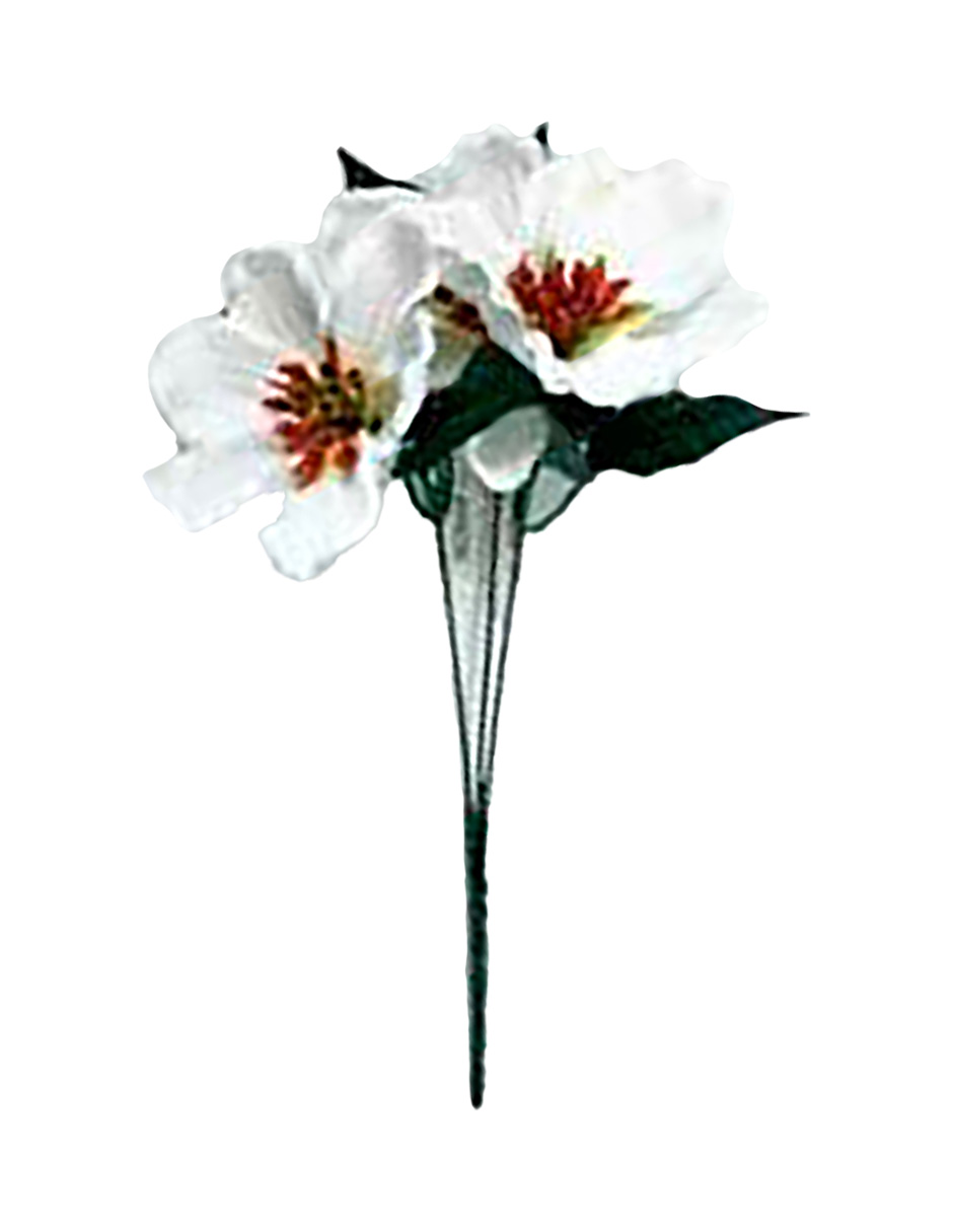 041007918387-galerias el triunfo