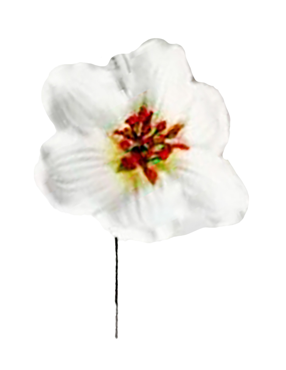 041007918388-galerias el triunfo