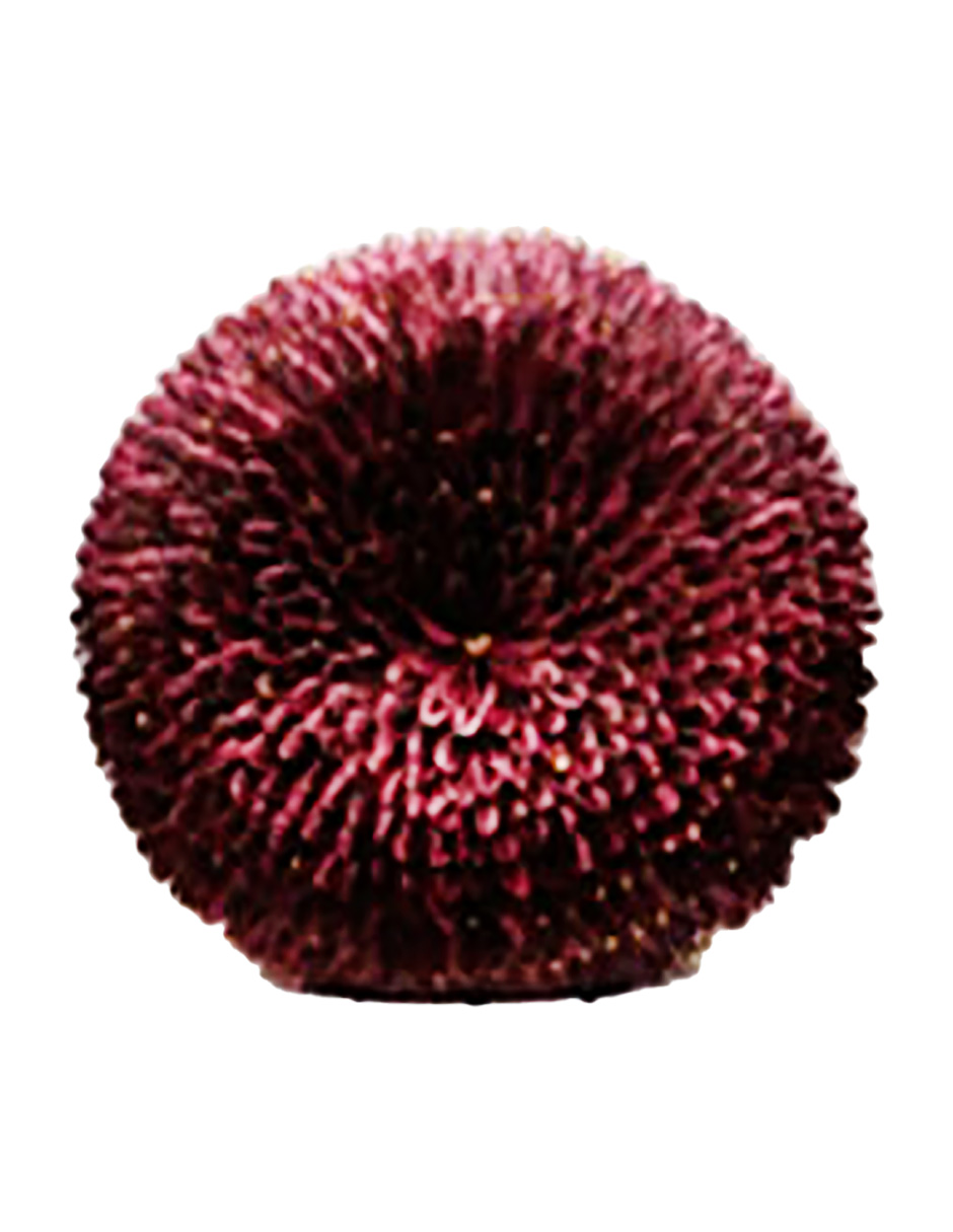 044071816149-galerias el triunfo