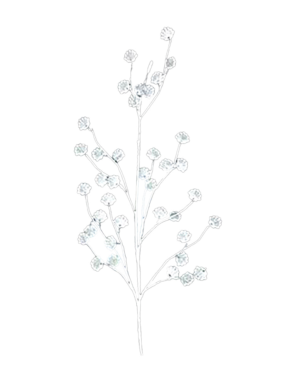 046022462100-galerias el triunfo