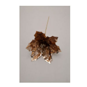 049072641192-galerias el triunfo