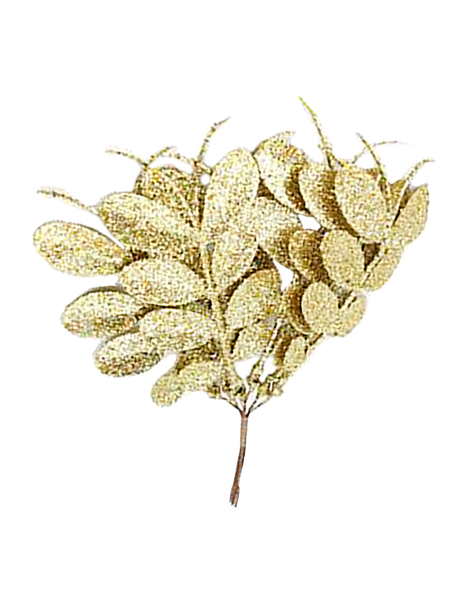 049072724101-galerias el triunfo