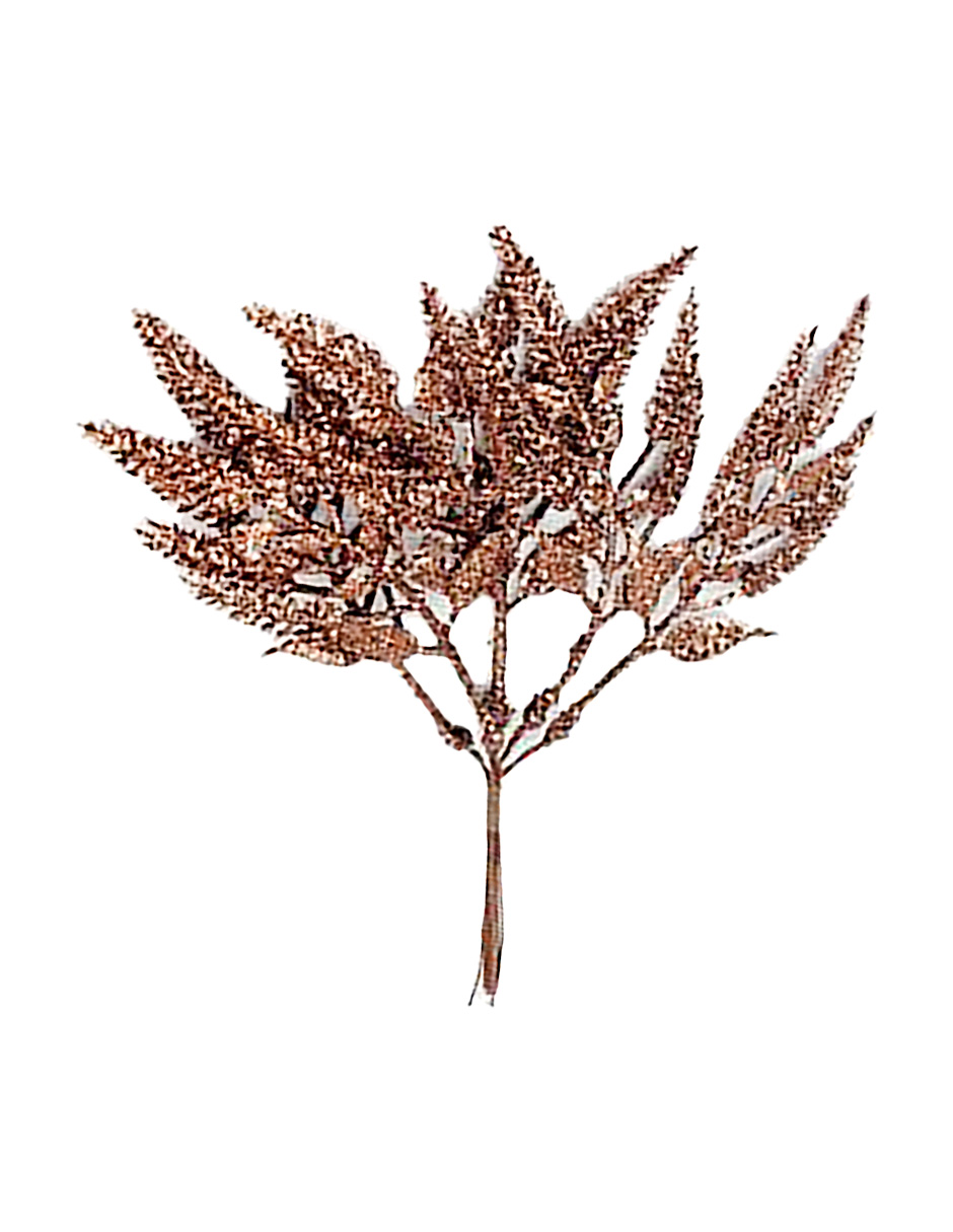 049072724109-galerias el triunfo