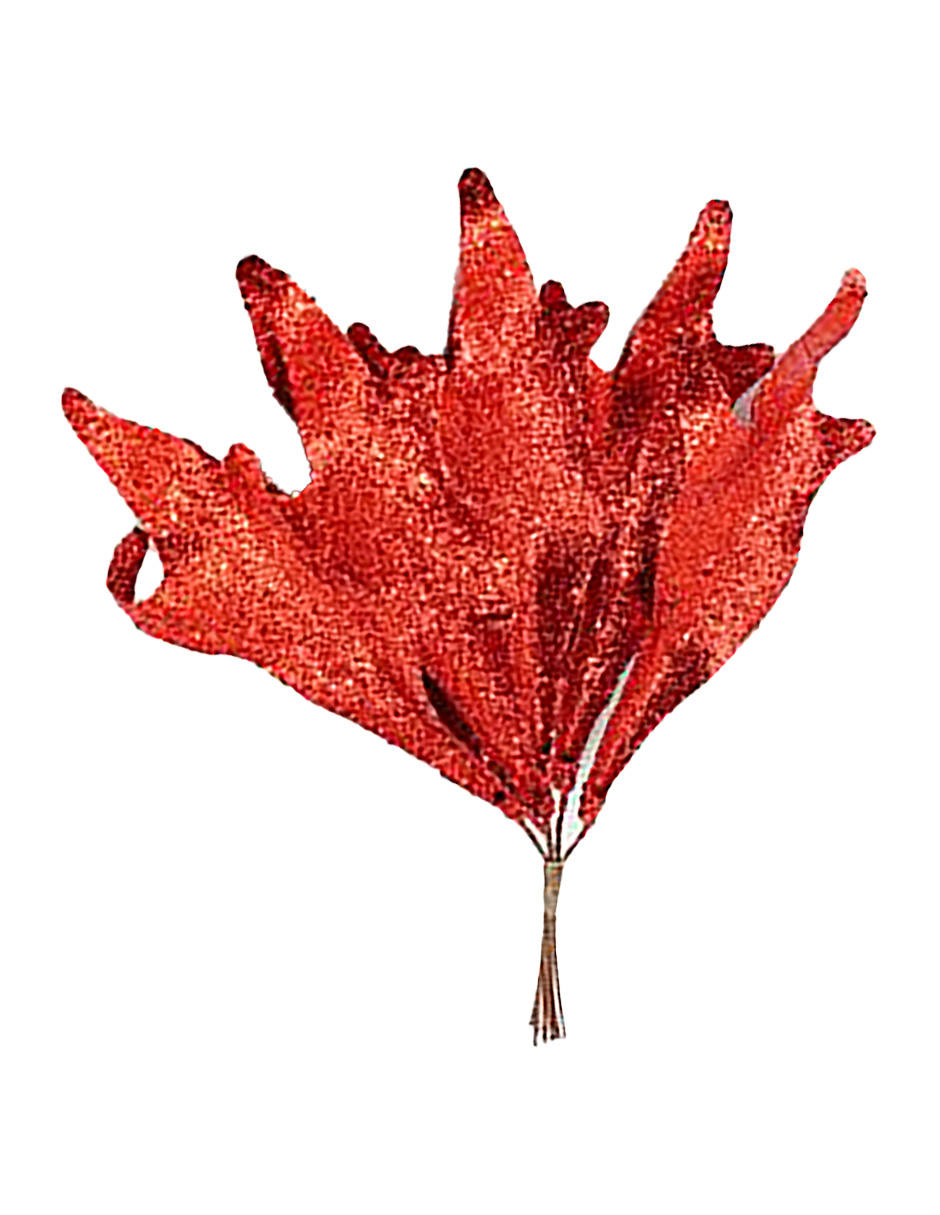 049072724116-galerias el triunfo