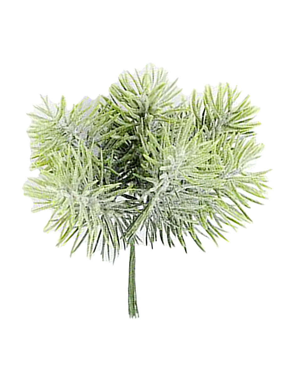 049072724122-galerias el triunfo