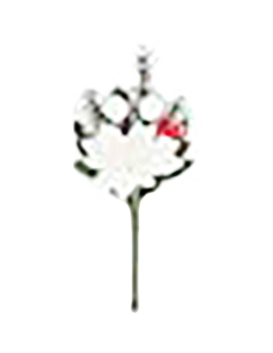 049072724231-galerias el triunfo