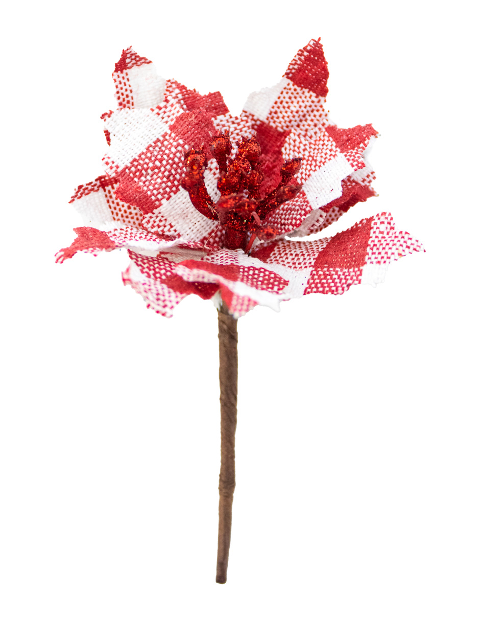 049072724371-galerias el triunfo