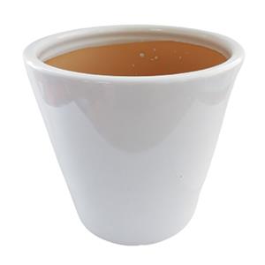 070401881010-galerias el triunfo