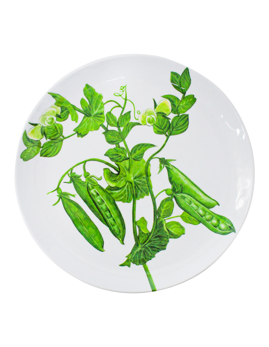 093072584261-galerias el triunfo