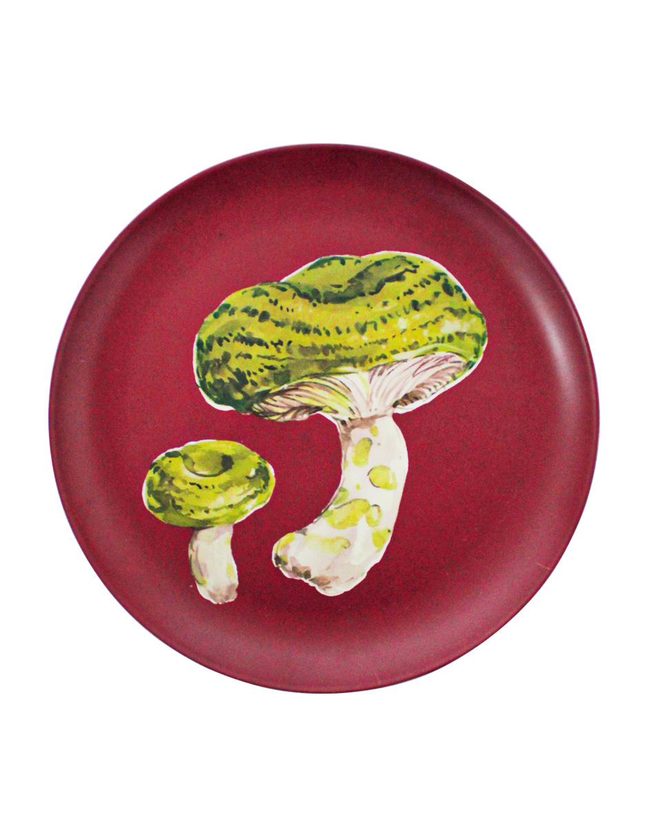 093072584273-galerias el triunfo