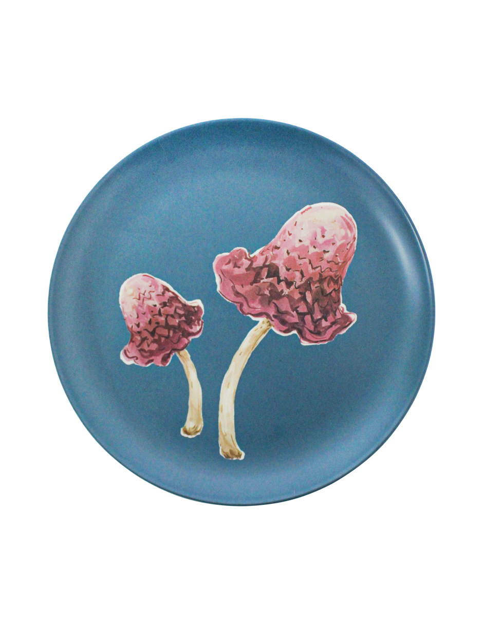 093072584276-galerias el triunfo