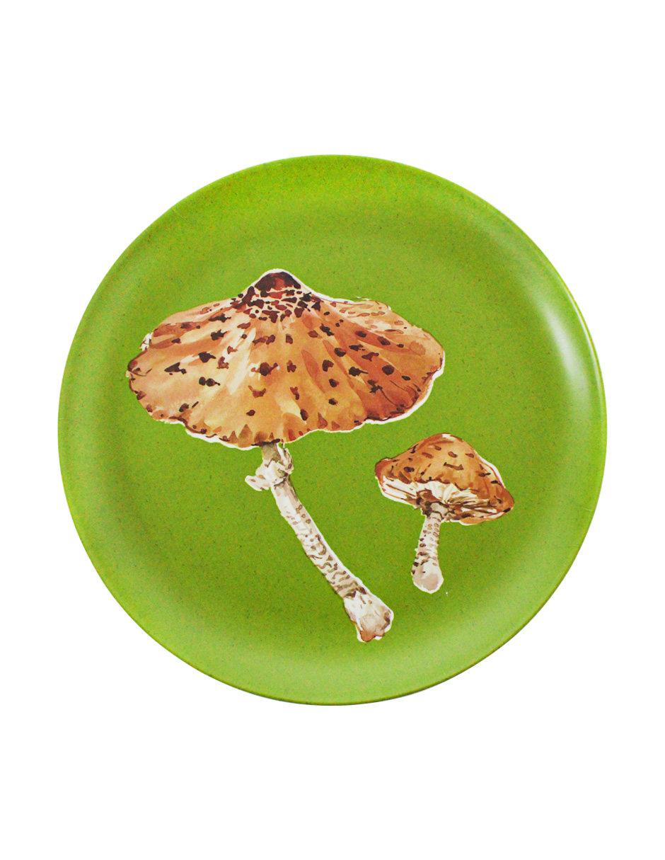 093072584277-galerias el triunfo