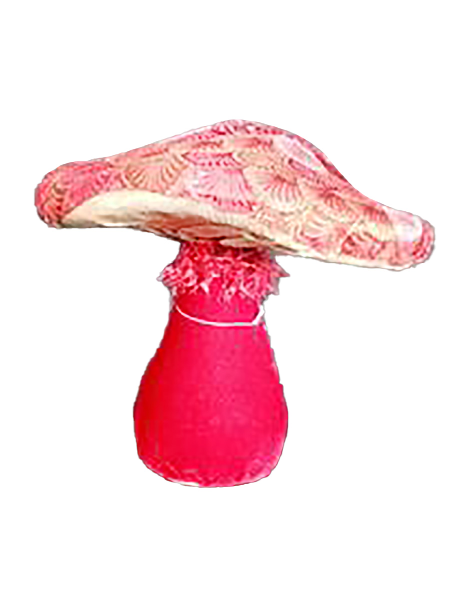 100307378219-galerias el triunfo