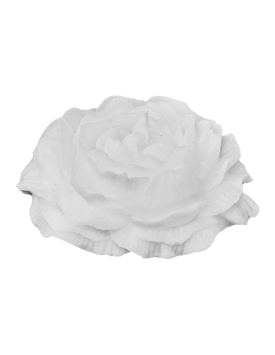 303001736210-galerias el triunfo