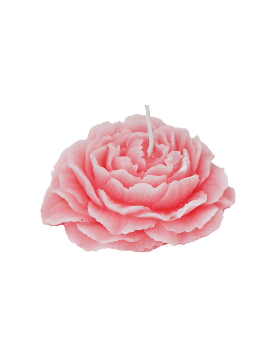 303001736211-galerias el triunfo