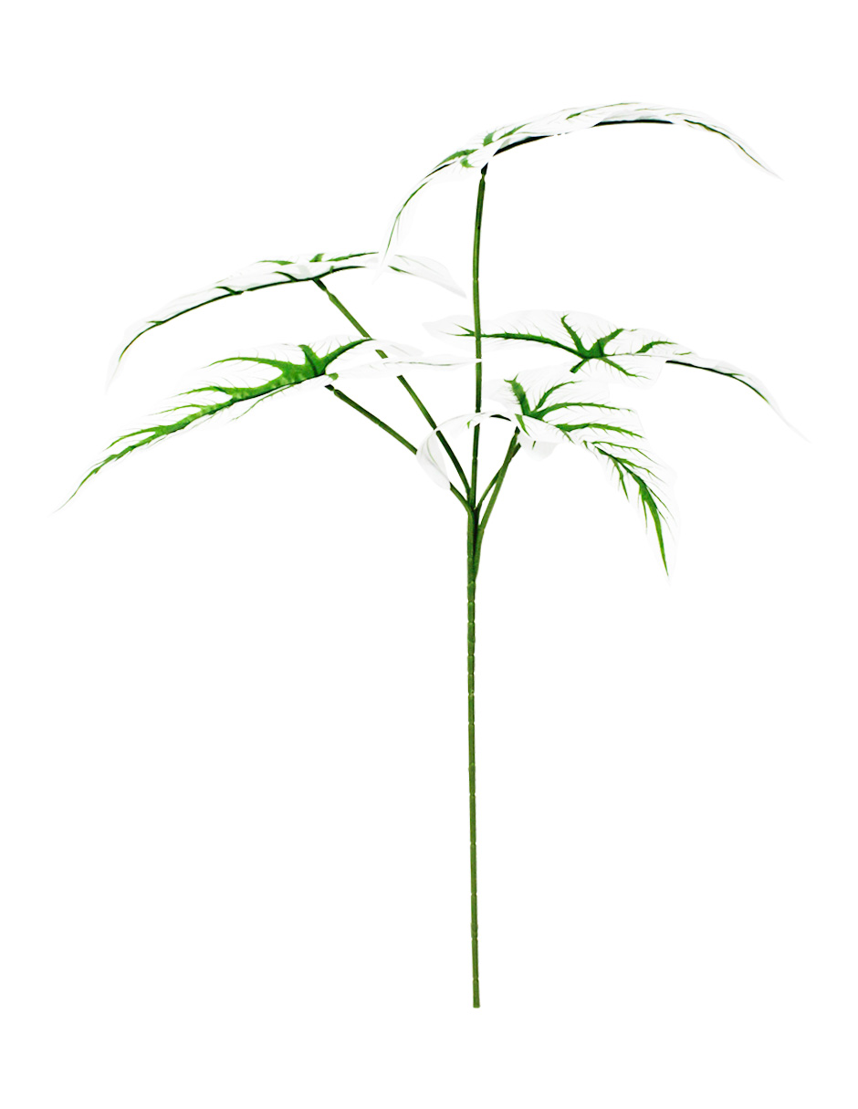 303001736322-galerias el triunfo