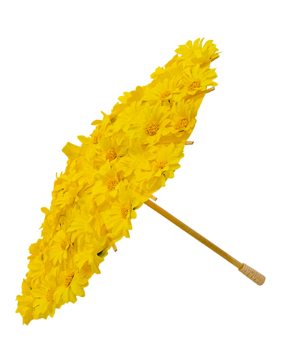 022032779174-galerias el triunfo