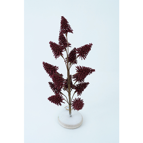 022032849005-galerias el triunfo