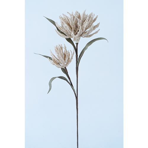 022032849009-galerias el triunfo