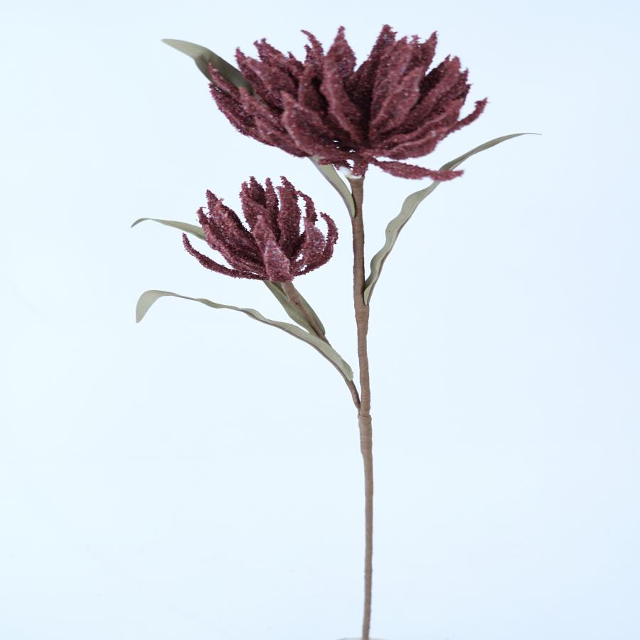 022032849010-galerias el triunfo