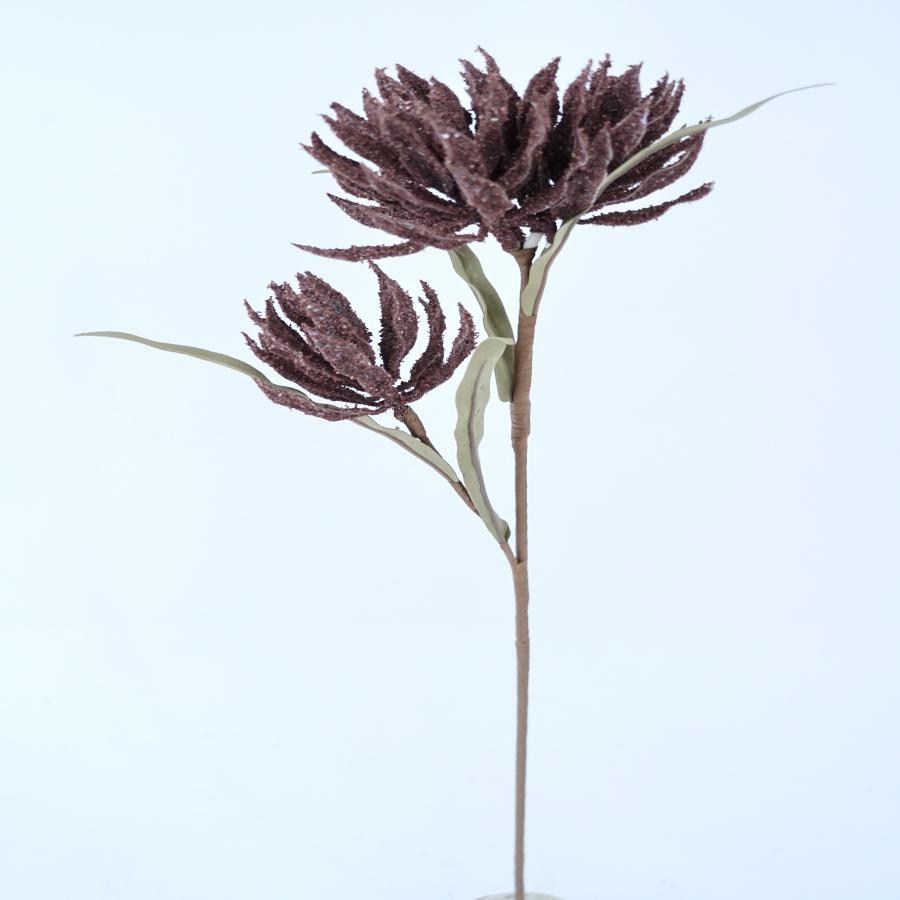 022032849011-galerias el triunfo