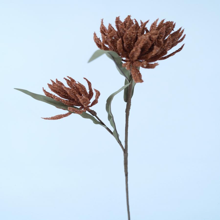 022032849012-galerias el triunfo