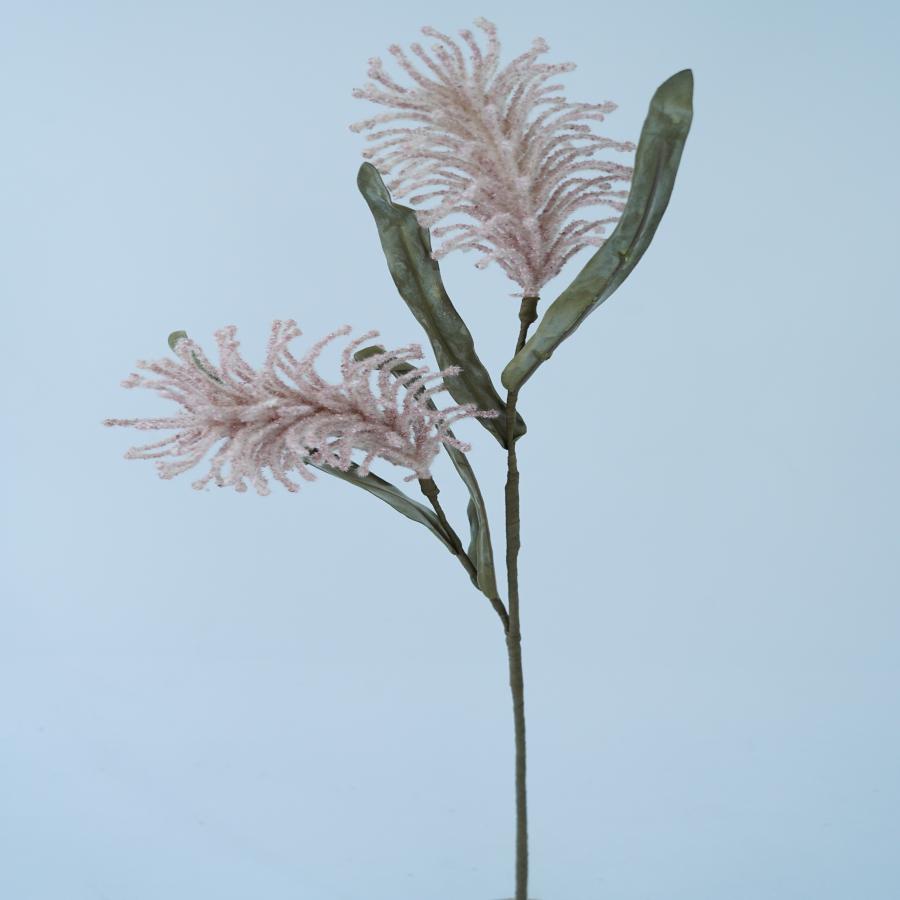 022032849017-galerias el triunfo