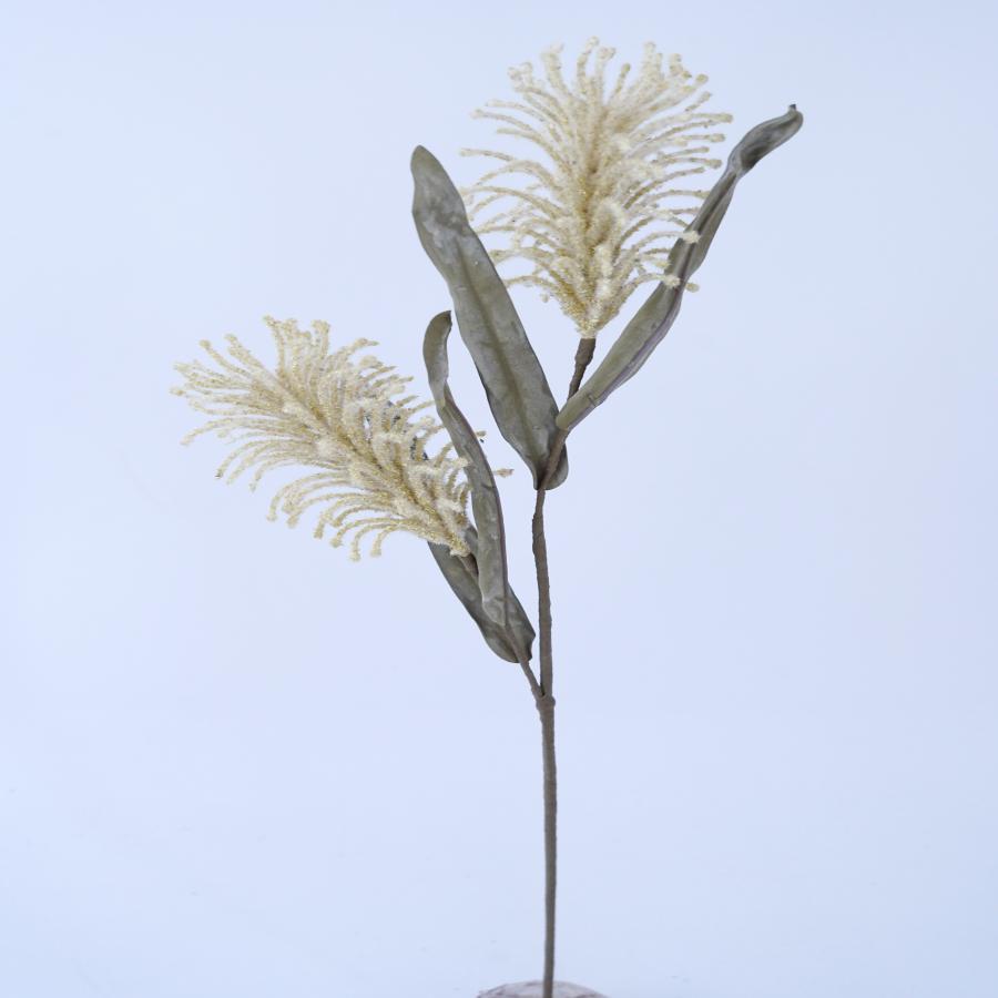 022032849018-galerias el triunfo