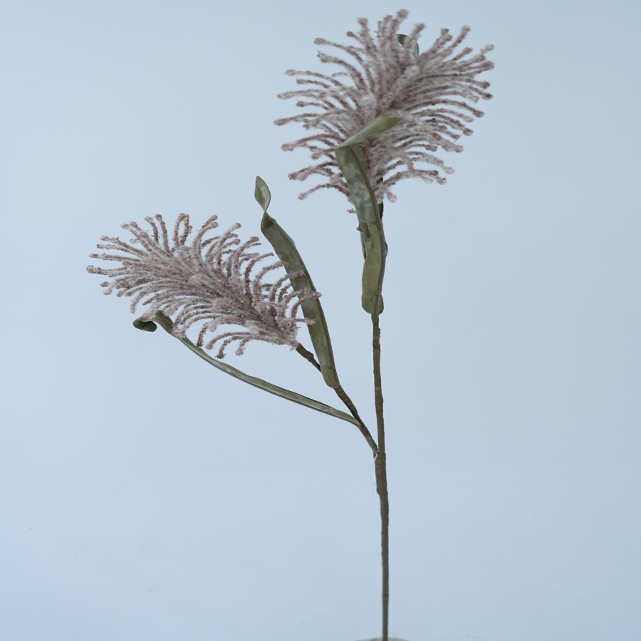 022032849019-galerias el triunfo