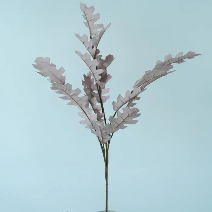 022032849026-galerias el triunfo