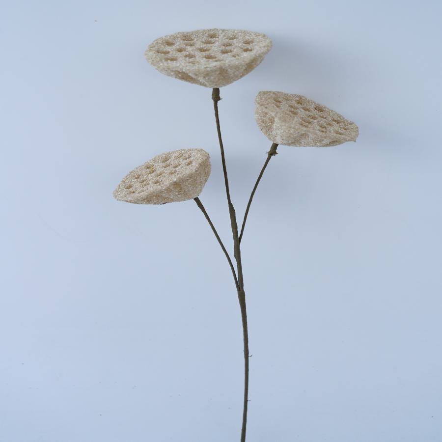 022032849029-galerias el triunfo