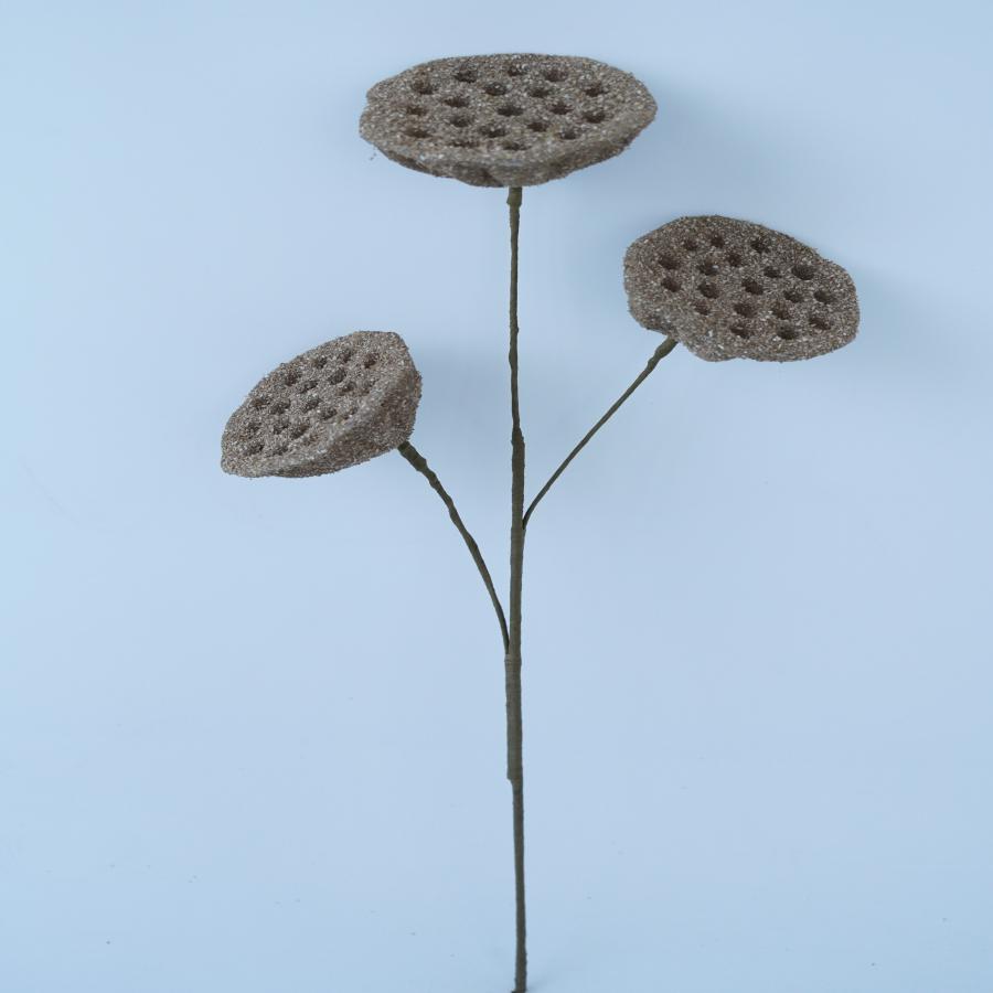 022032849030-galerias el triunfo