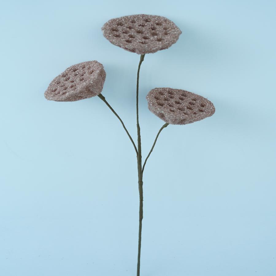 022032849031-galerias el triunfo