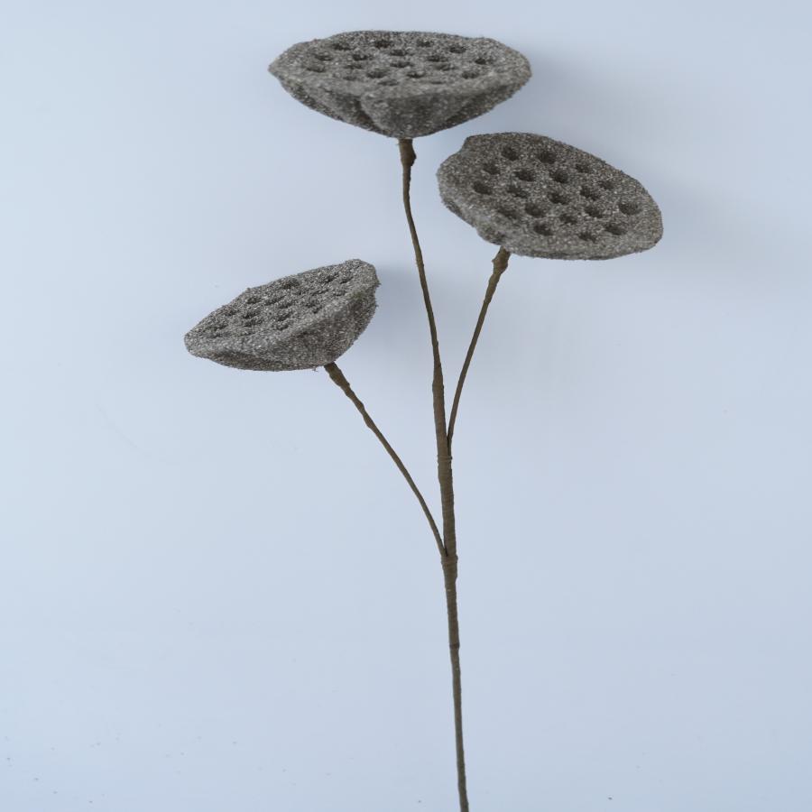 022032849033-galerias el triunfo