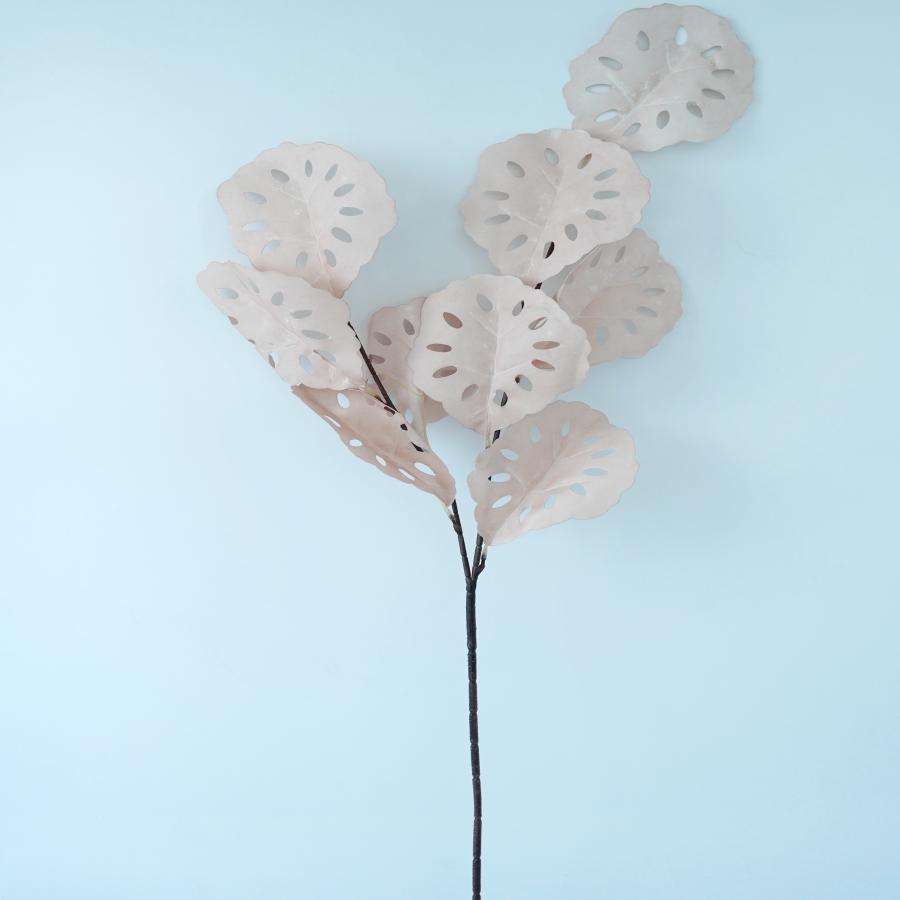 022032849036-galerias el triunfo