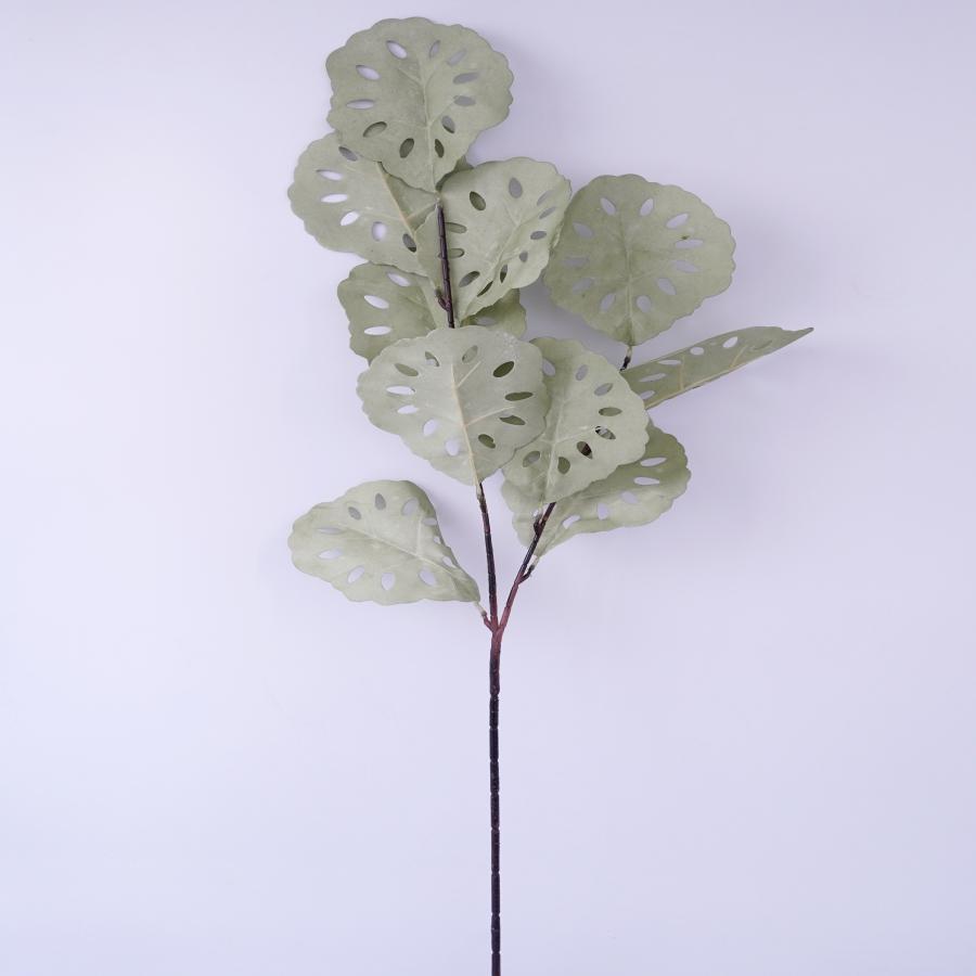 022032849037-galerias el triunfo