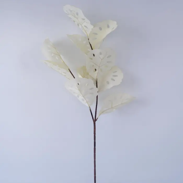 022032849039-galerias el triunfo