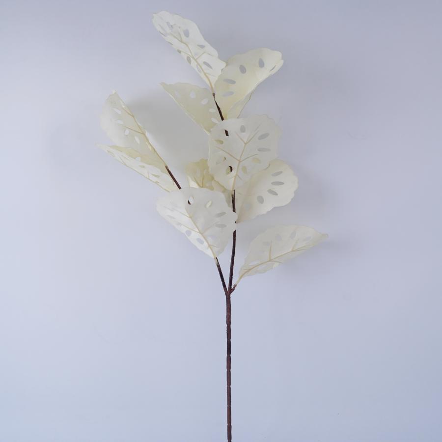 022032849039-galerias el triunfo