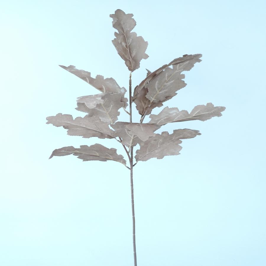 022032849043-galerias el triunfo