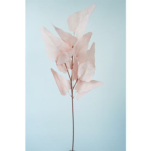 022032849044-galerias el triunfo