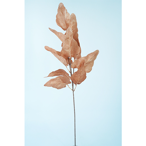 022032849046-galerias el triunfo