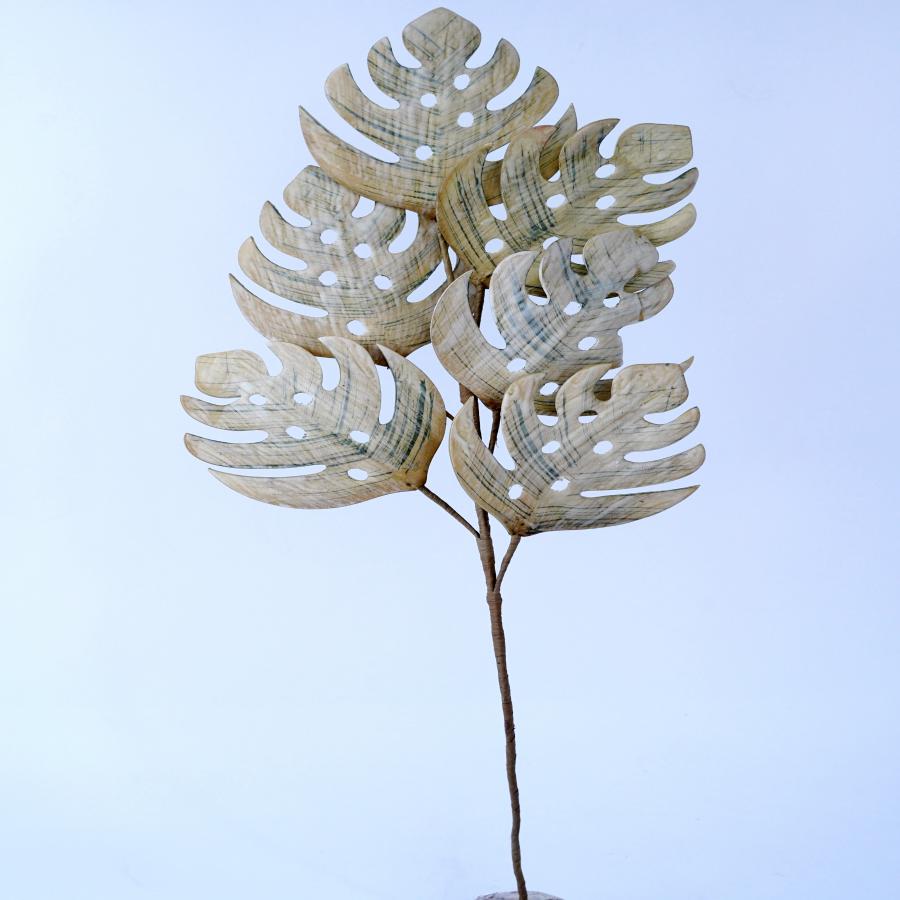 022032849049-galerias el triunfo