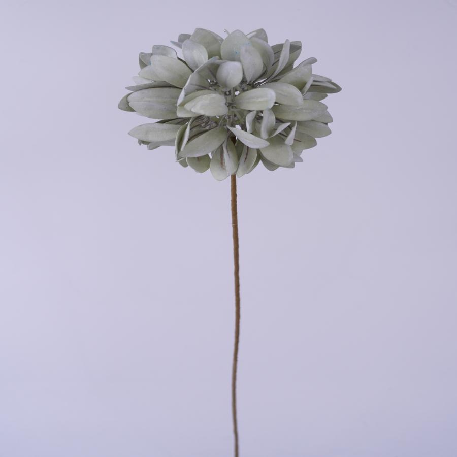 022032849050-galerias el triunfo