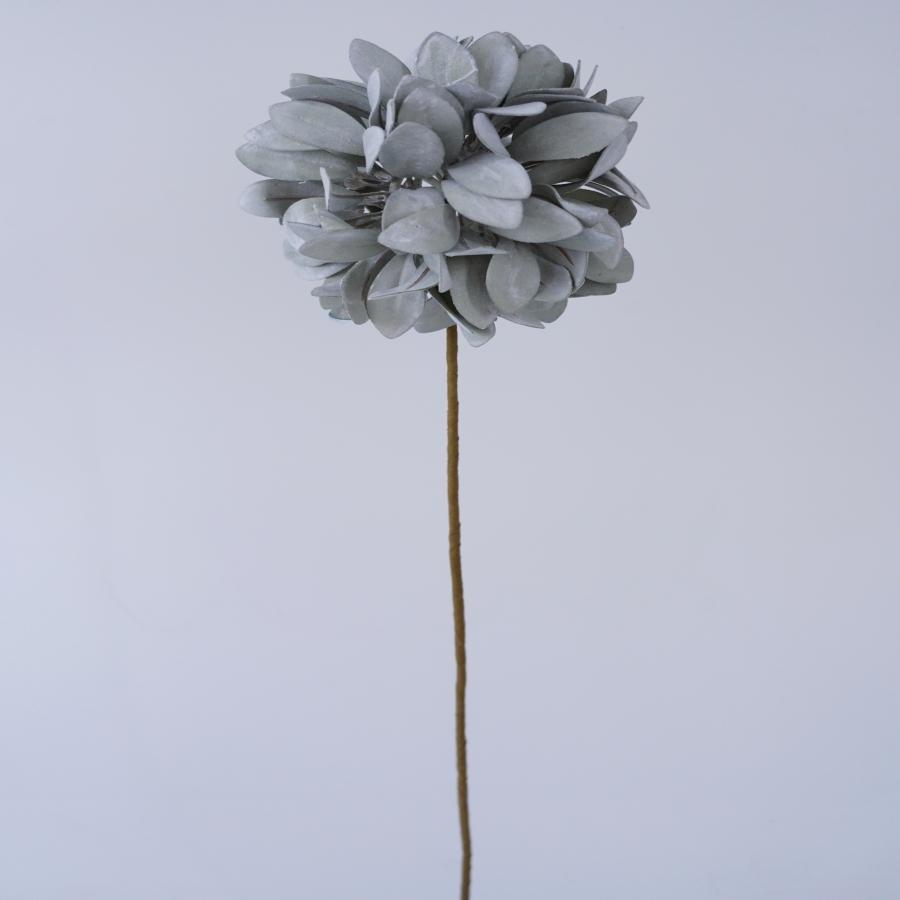 022032849051-galerias el triunfo