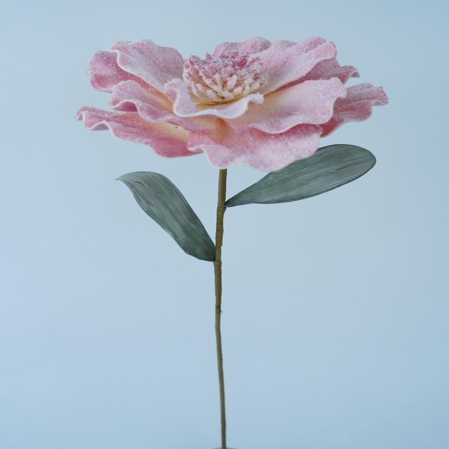 022032849058-galerias el triunfo